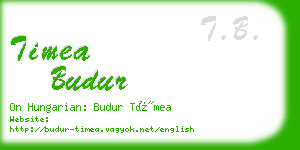 timea budur business card